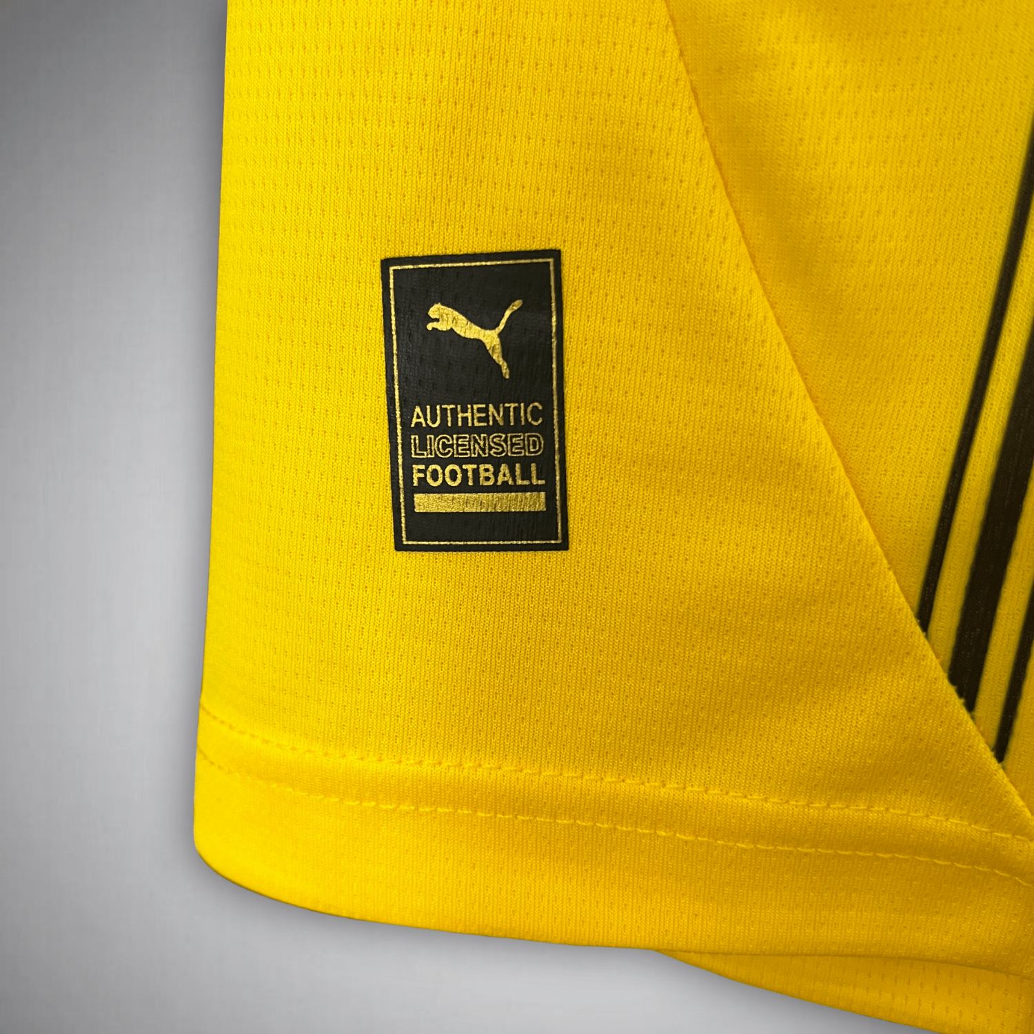 24-25 Borussia Dortmund Shirt Home