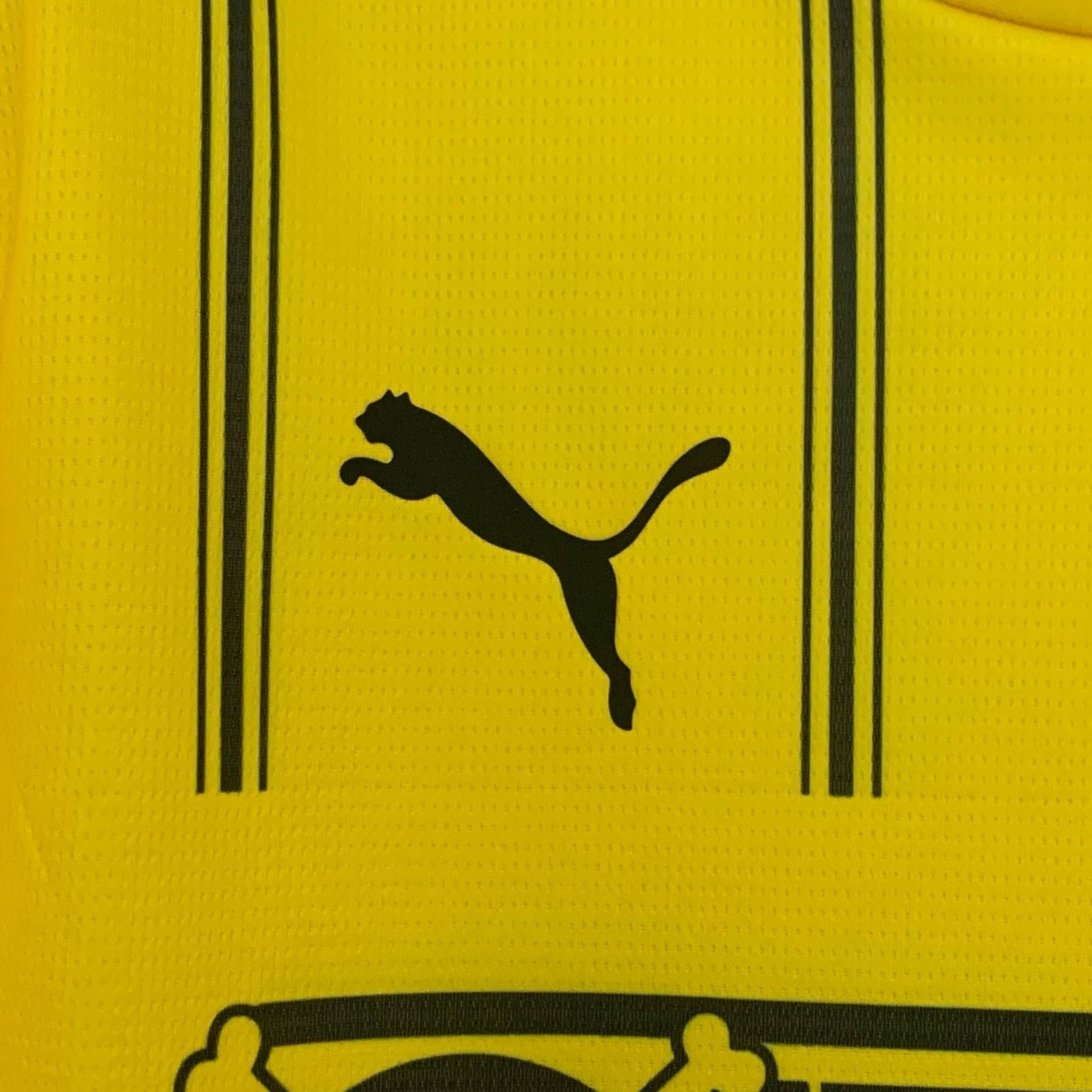 borussia dortmund x one piece shirt