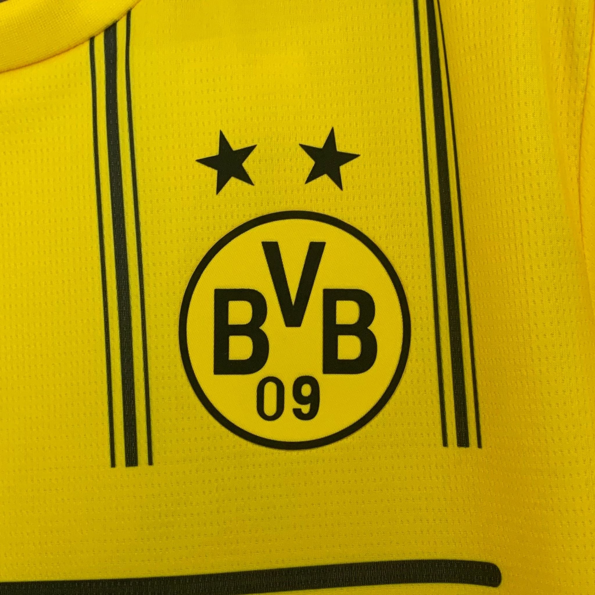 borussia dortmund x one piece shirt