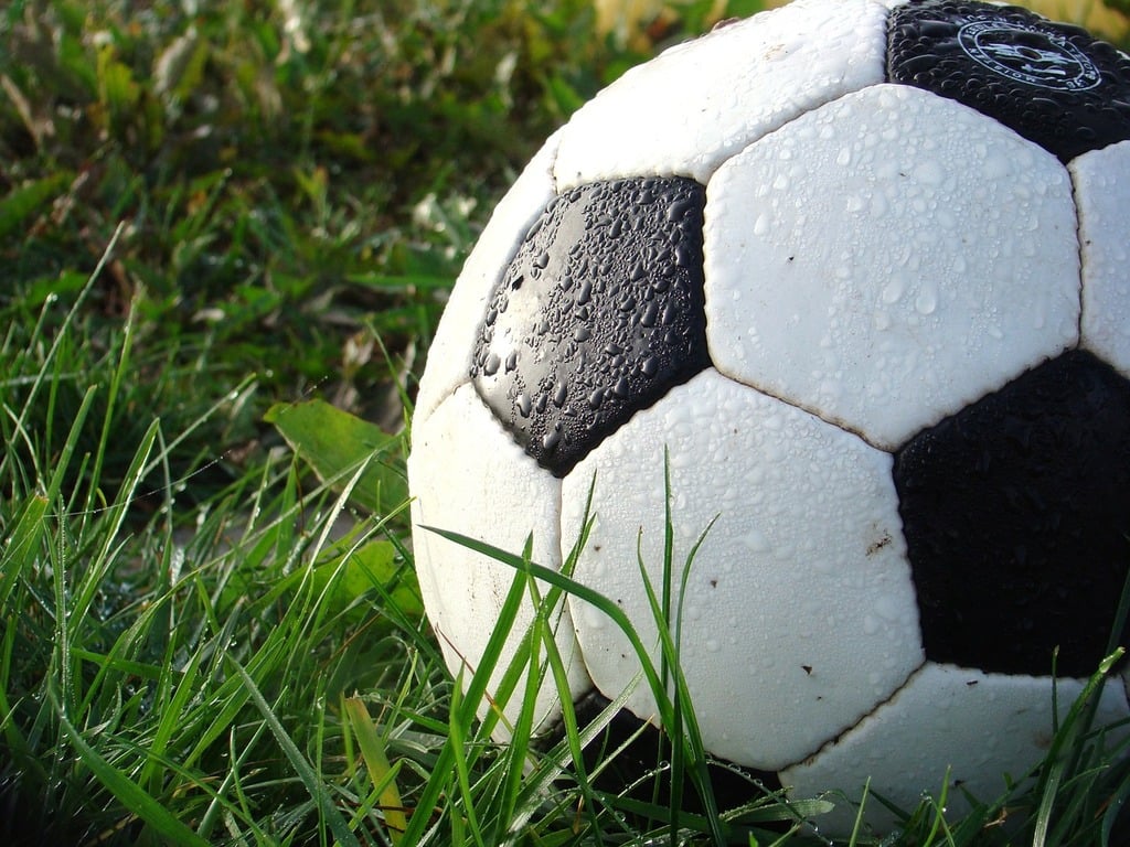 a soccer ball on grass
