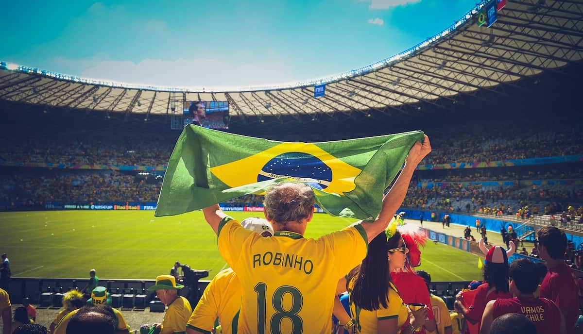 A Brazil supporter holding their flag while wearing Robinho&