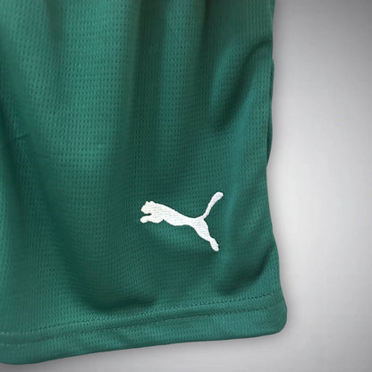 2025 portugal home kids football kit