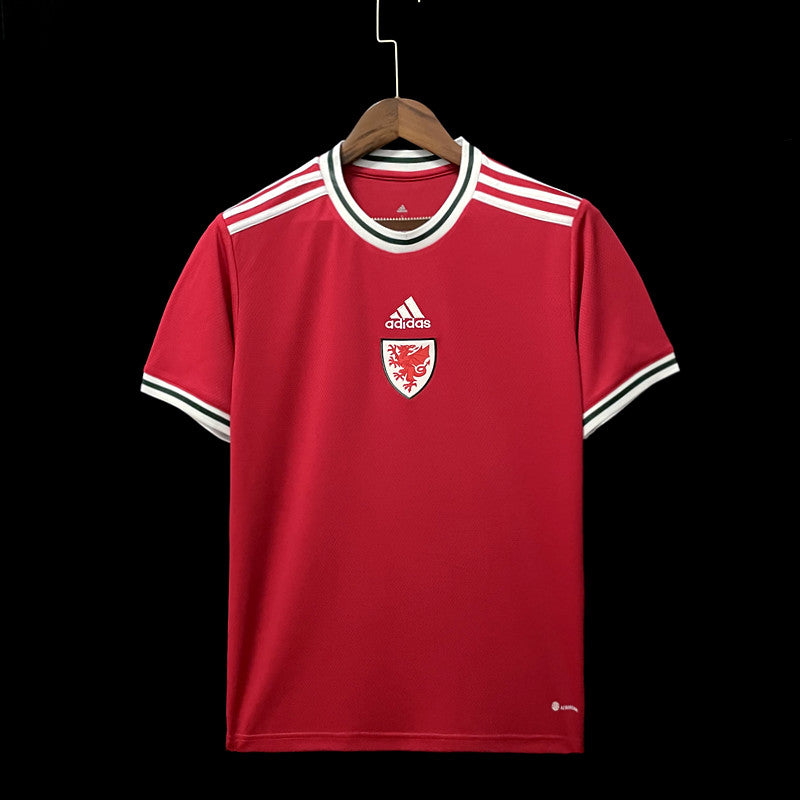 wales 22 23 home jersey